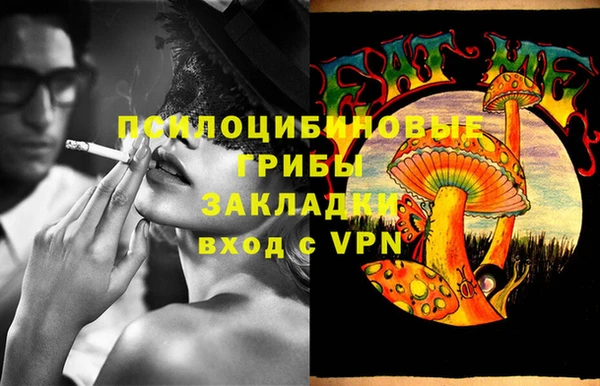 прущая мука Тында