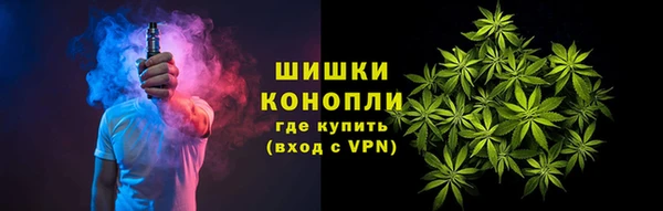 PSILOCYBIN Алексеевка