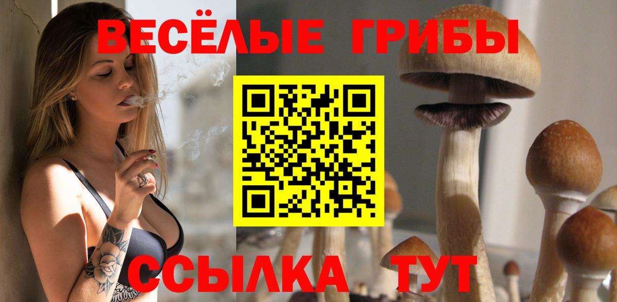 Псилоцибиновые грибы Psilocybine cubensis  Галлюциногенные грибы Psilocybine cubensis  Вход с VPN  Ухта 